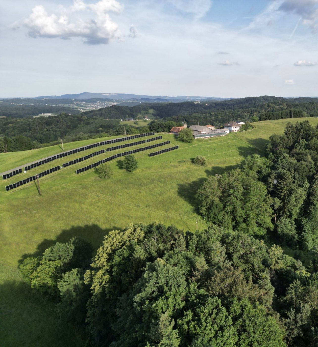 Agri-Photovoltaik-Anlage am Hang des Ertler Hofs, darunter gemähte Wiese