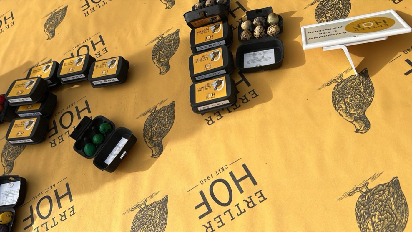 Wachteleier in Packungen auf einem Markttisch mit Ertler-Hof-Tuch